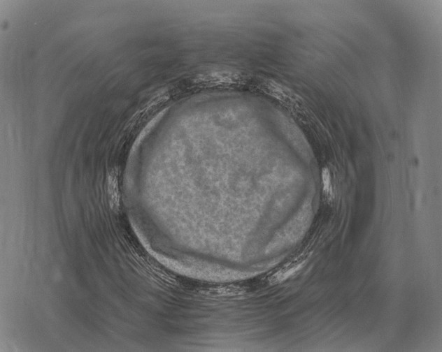 X0000073721203200608311811