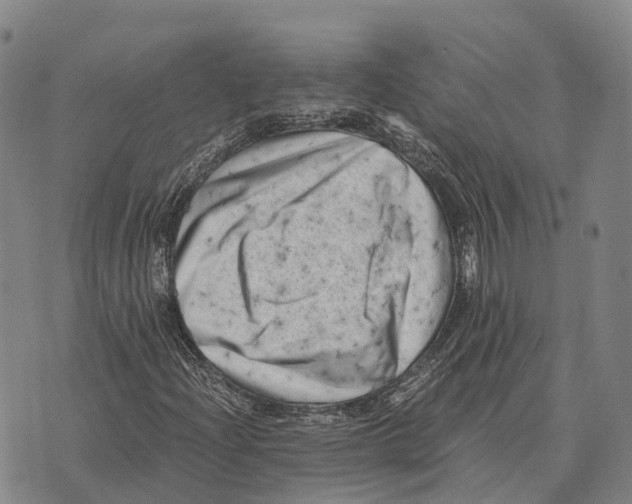 X0000073721204200608311811