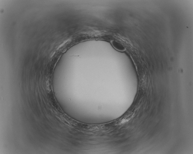 X0000073721205200608311811