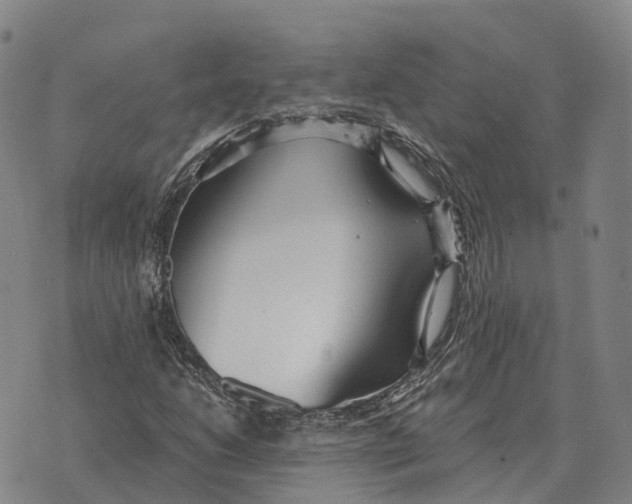 X0000073721206200608311811