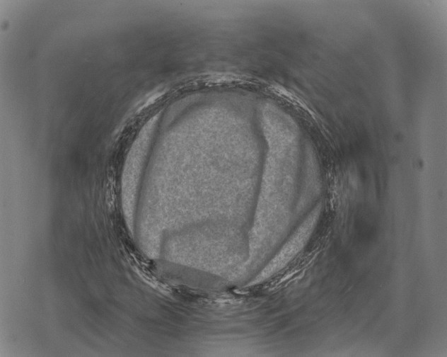 X0000073721207200608311811