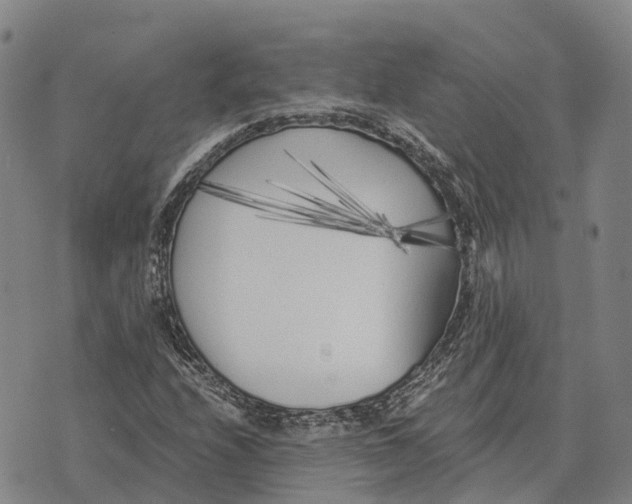 X0000073721208200608311811