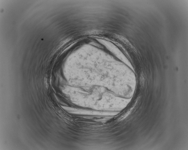 X0000073721209200608311811