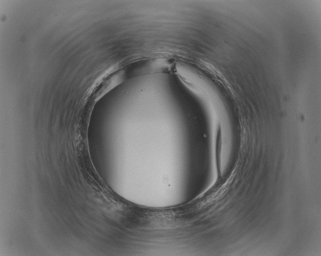 X0000073721210200608311811