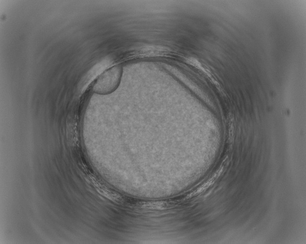 X0000073721211200608311811