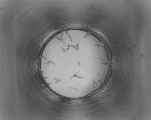 X0000073721212200608311811