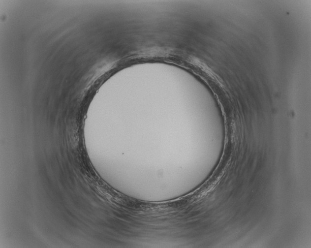 X0000073721213200608311811