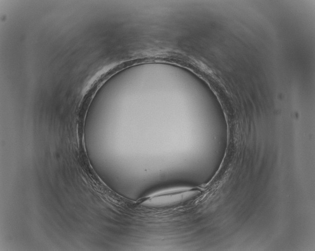 X0000073721214200608311811