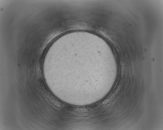 X0000073721215200608311811