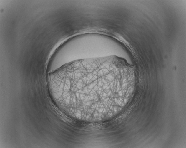 X0000073721216200608311811