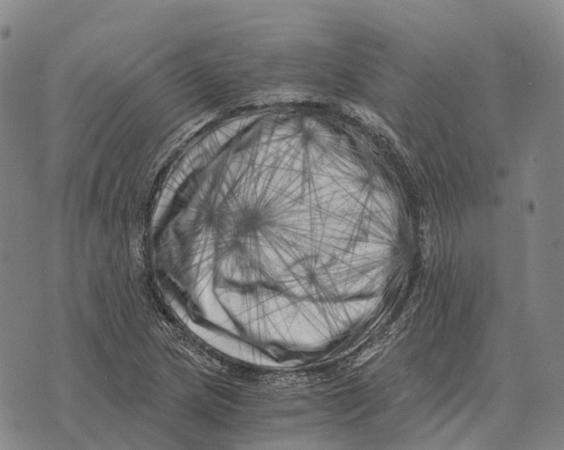 X0000073721217200608311811