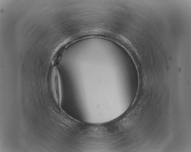 X0000073721218200608311811