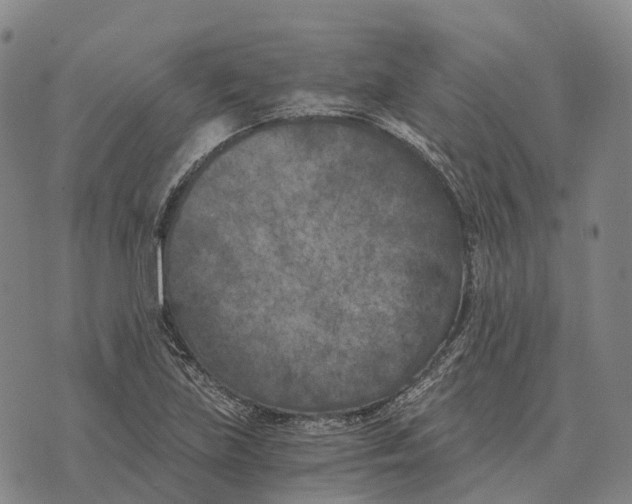 X0000073721219200608311811