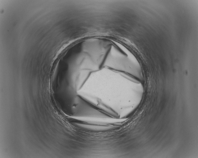 X0000073721220200608311811