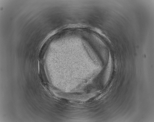 X0000073721221200608311811