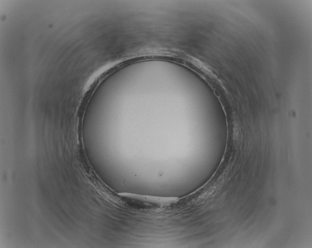 X0000073721222200608311811