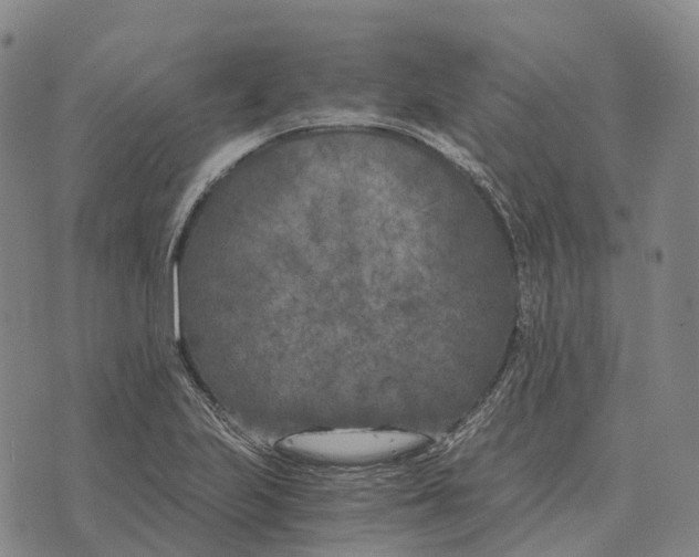 X0000073721223200608311811