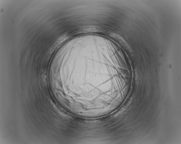 X0000073721225200608311811