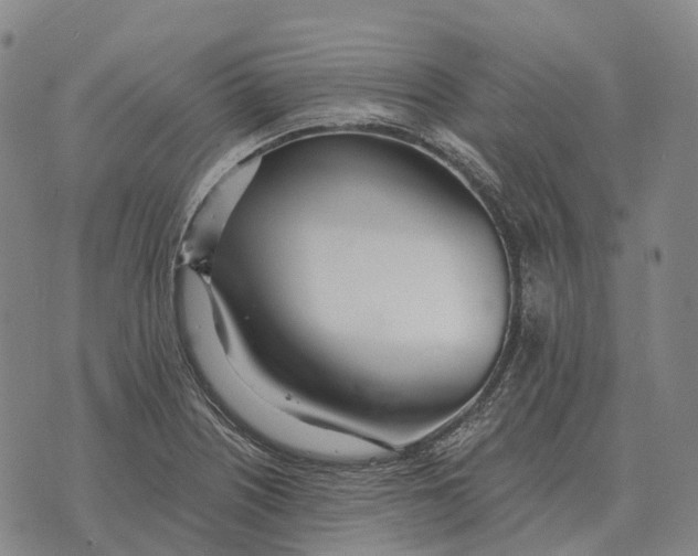 X0000073721226200608311811