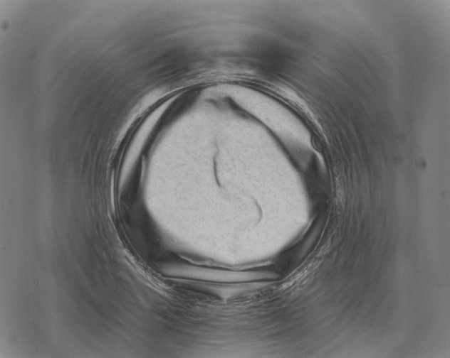 X0000073721227200608311811