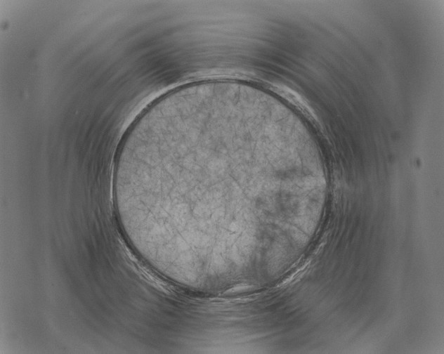 X0000073721228200608311811