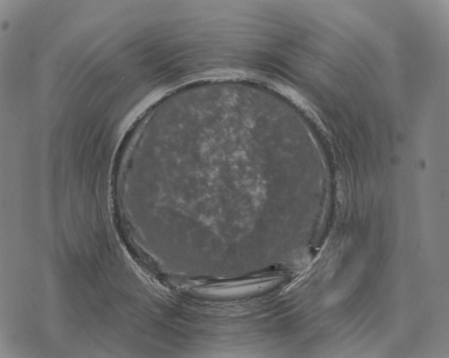 X0000073721229200608311811