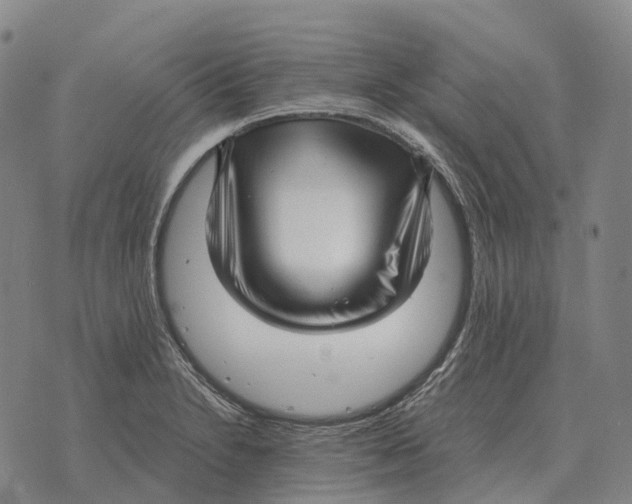 X0000073721230200608311811