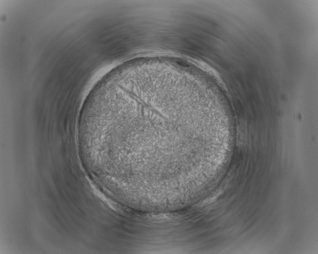 X0000073721231200608311811