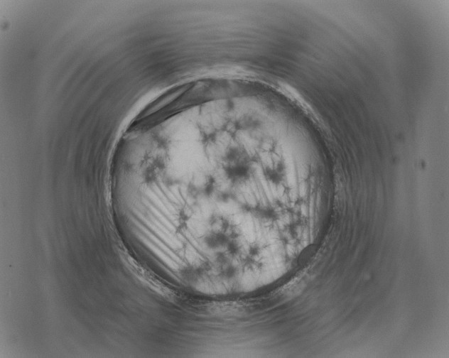 X0000073721232200608311811