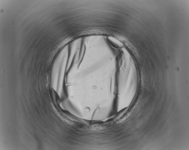 X0000073721233200608311811