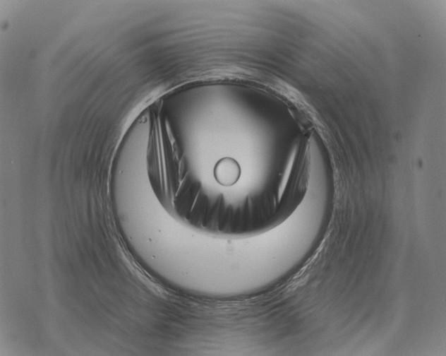 X0000073721234200608311811