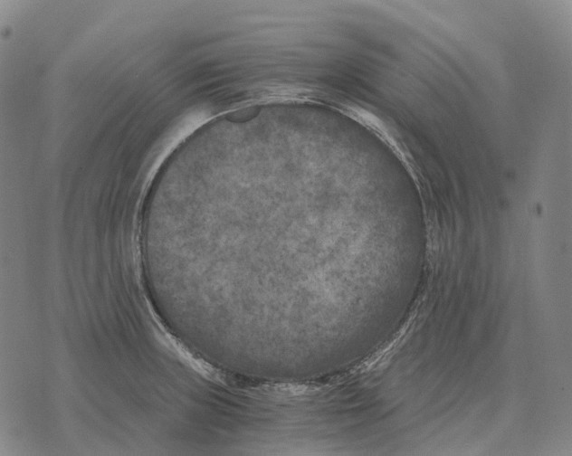 X0000073721235200608311811