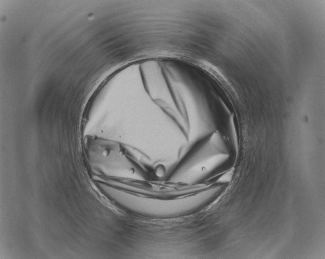 X0000073721236200608311811