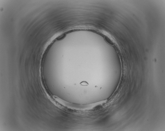 X0000073721237200608311811