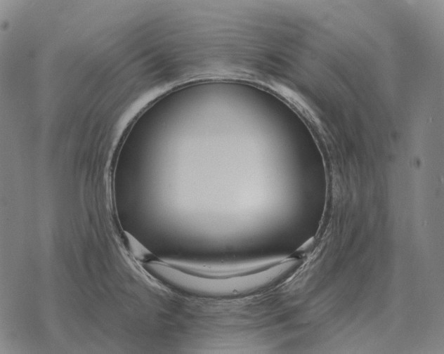 X0000073721238200608311811