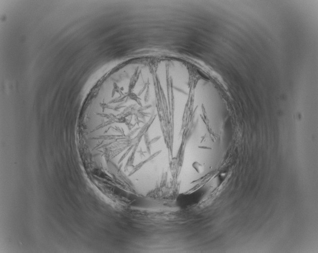 X0000073721239200608311811