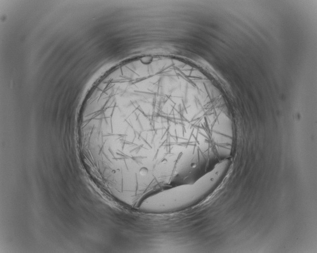 X0000073721240200608311811