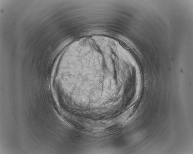 X0000073721241200608311811