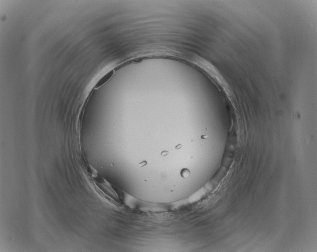 X0000073721242200608311811