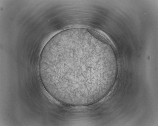 X0000073721244200608311812