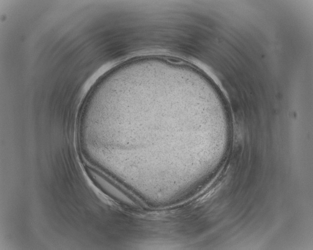 X0000073721245200608311812