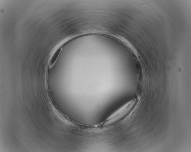 X0000073721246200608311812