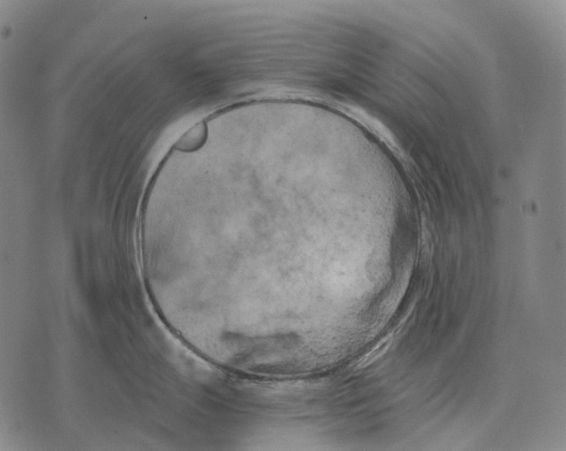 X0000073721247200608311812