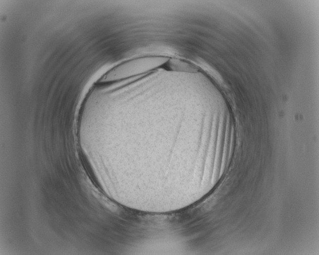 X0000073721248200608311812