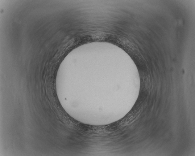 X0000073721249200608311811