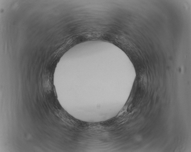 X0000073721250200608311811