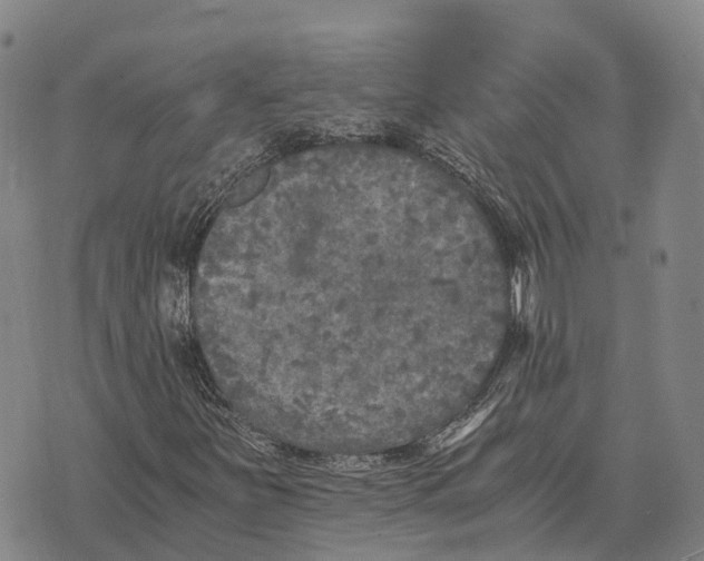 X0000073721251200608311811