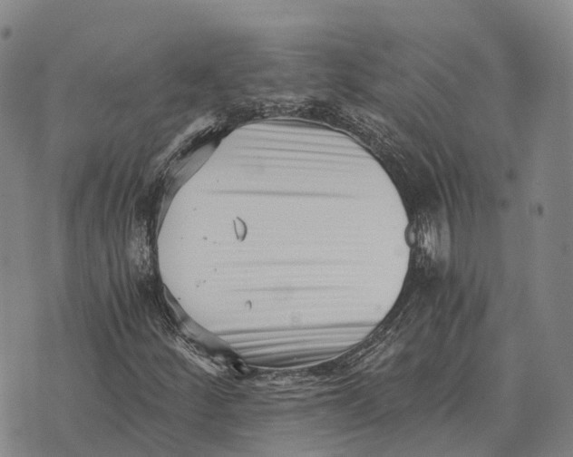 X0000073721252200608311811