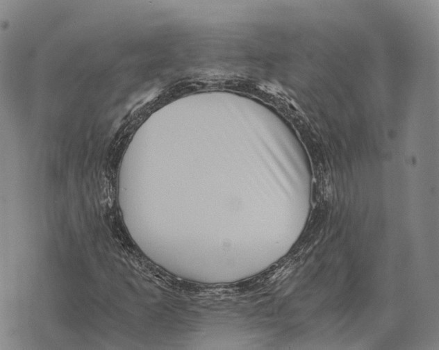 X0000073721253200608311811