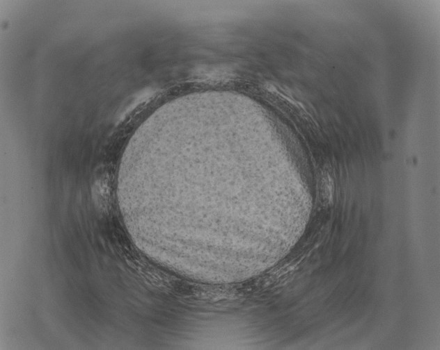 X0000073721254200608311811